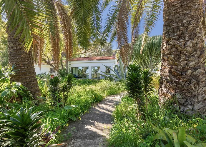 El Dragonal With Private Pool * Санта-Брихида
